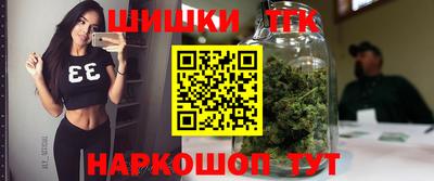 тгк Можга