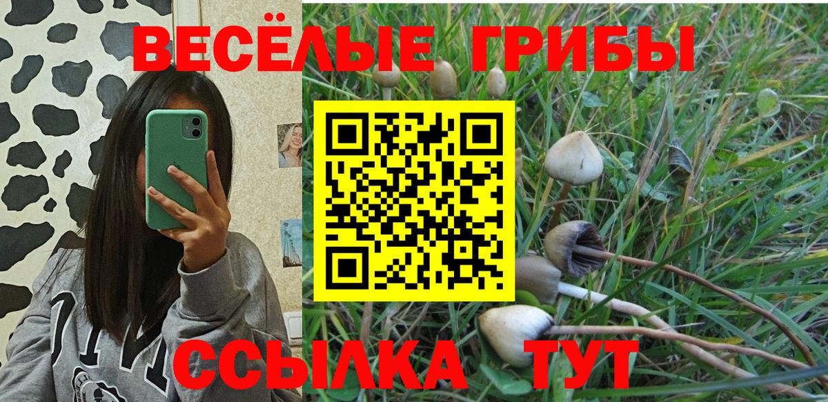 Псилоцибиновые грибы Psilocybine cubensis Тавда