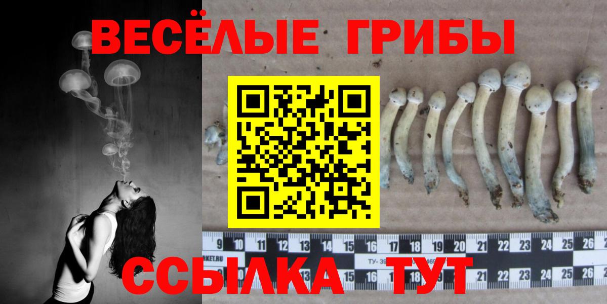 Галлюциногенные грибы Cubensis  Вход с VPN  Тавда 